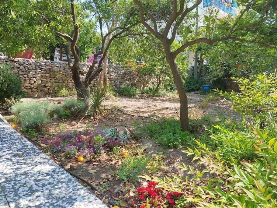 Mel'S Garden House In The Heart Of The City Bodrum Exteriör bild