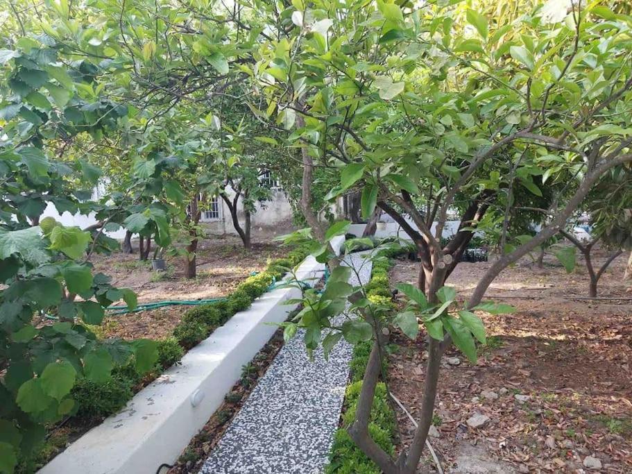 Mel'S Garden House In The Heart Of The City Bodrum Exteriör bild